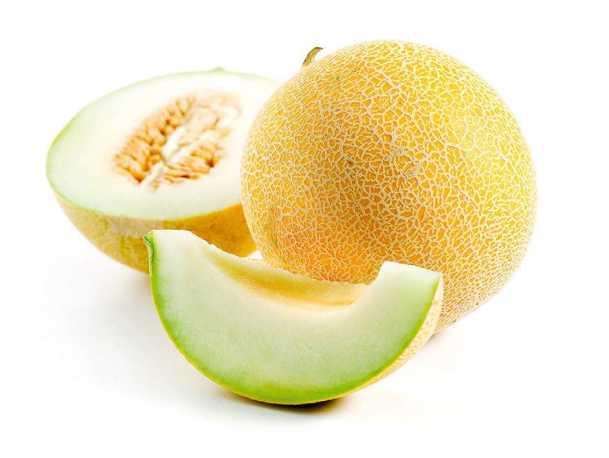 GALIA MELON